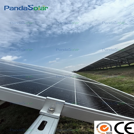 Pandasoalr Team Visit 10+MW Project Site