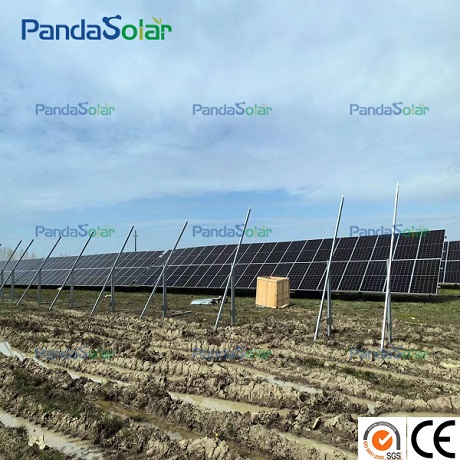 Das 5-MW-Freilandsolarprojekt von Pandasolar befindet sich im Bau und setzt seinen Vorstoß im Bereich der erneuerbaren Energien fort